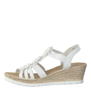 61949-80 White