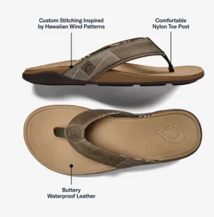 Men's TUAHINE- Hunter
