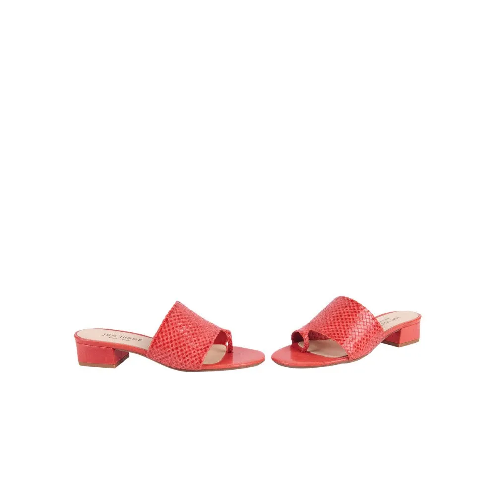 North Orquidia Jon Josef Leather Sandal Slide