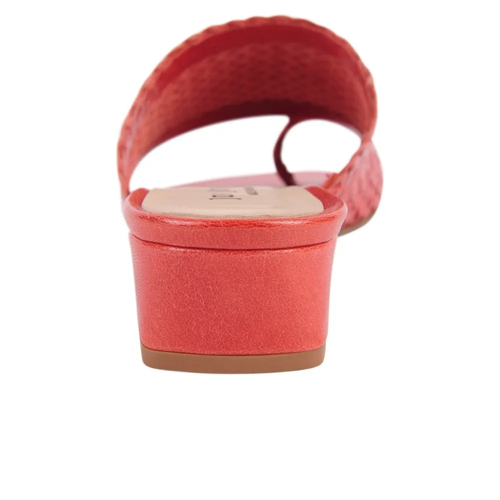 North Orquidia Jon Josef Leather Sandal Slide