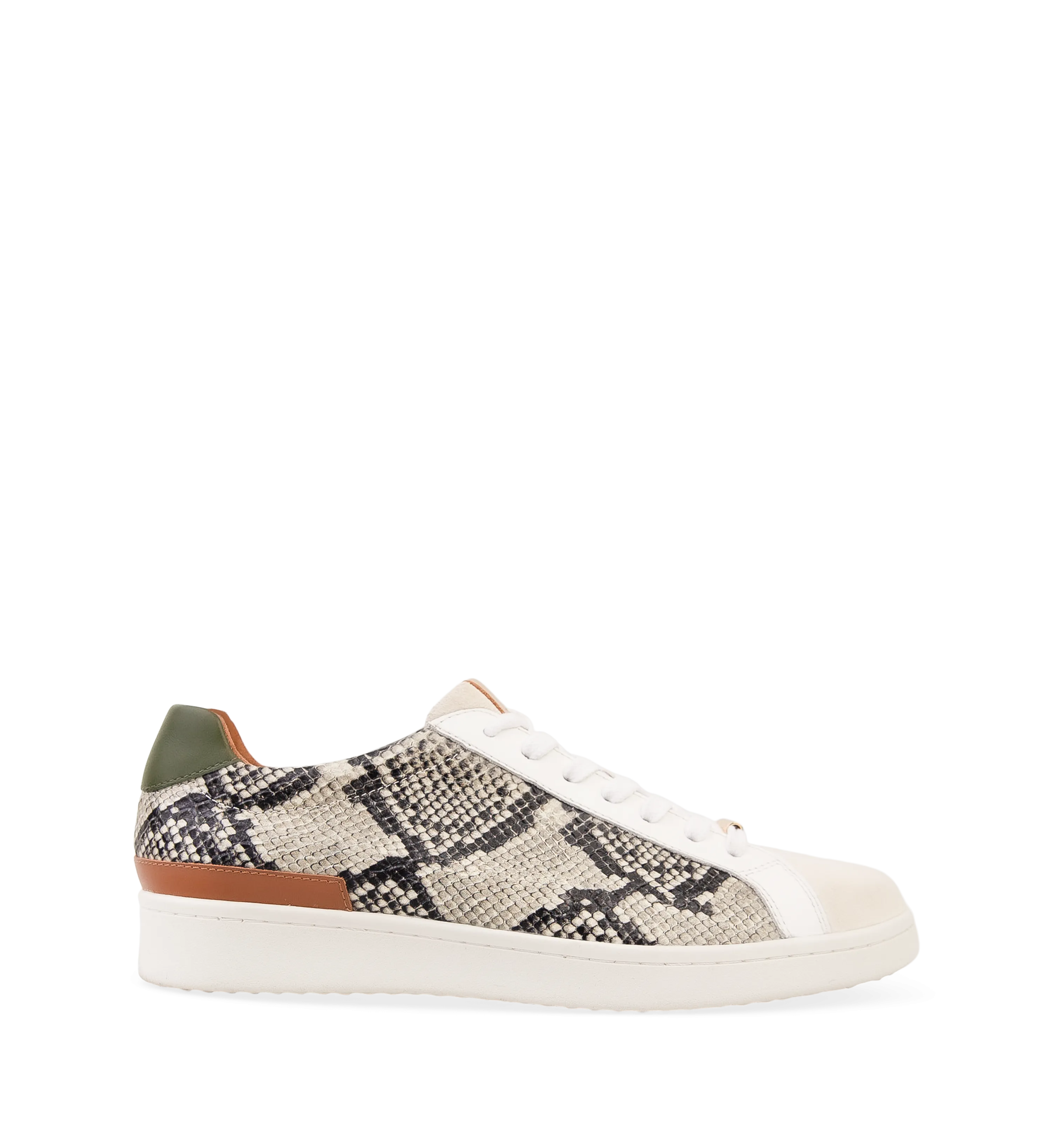 Whimbrel Snake Mix Leather Sneakers